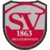 SV 1863 Belgershain