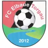 FC Elbaue Torgau