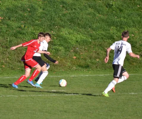 13.11.2022 SG Zschaitz vs. SV Eintracht Sermuth