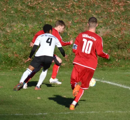 13.11.2022 SG Zschaitz vs. SV Eintracht Sermuth