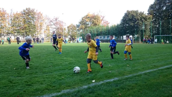 10.10.2015 SV Medizin Zschadraß vs. SG Großbothen