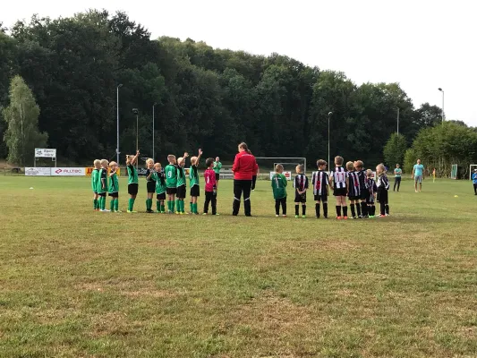 25.08.2018 SG Gnandstein 49 vs. SG Sermuth Großb.