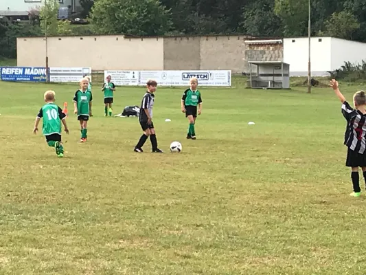 25.08.2018 SG Gnandstein 49 vs. SG Sermuth Großb.