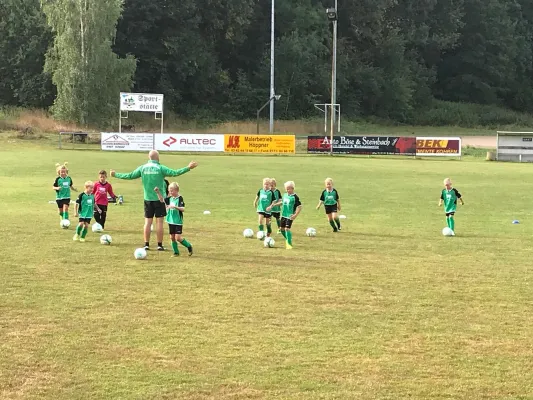 25.08.2018 SG Gnandstein 49 vs. SG Sermuth Großb.