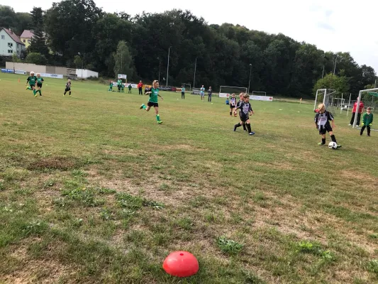 25.08.2018 SG Gnandstein 49 vs. SG Sermuth Großb.